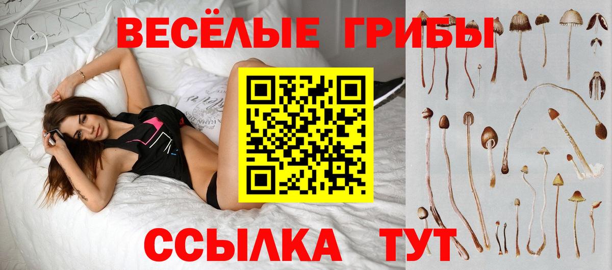 Галлюциногенные грибы Cubensis  Вход с VPN  Майкоп 