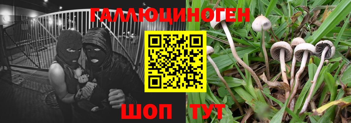 Майкоп  Экстази  КОКАИН  Меф  Вход с VPN  Меф МЯУ МЯУ кристаллы  ТГК  Каннабис  Гашиш  НБОМе 