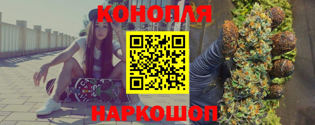 Каннабис планчик Майкоп